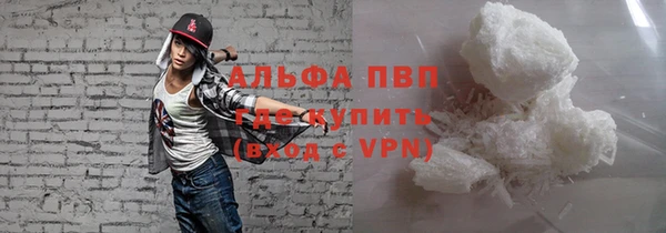 скорость Вяземский