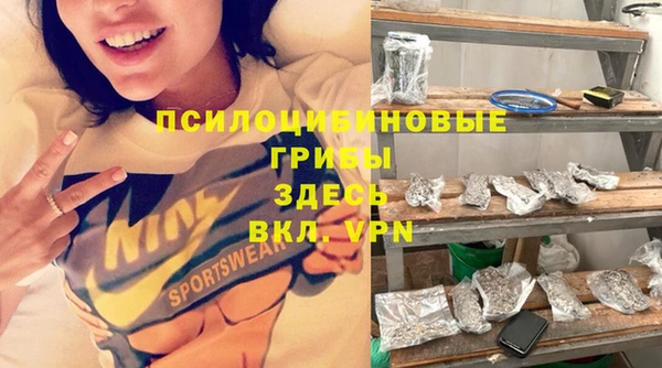 СК Туринск