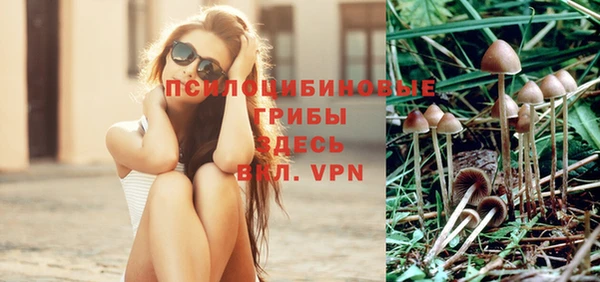 а пвп мука Вязьма