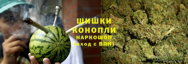 скорость Вяземский