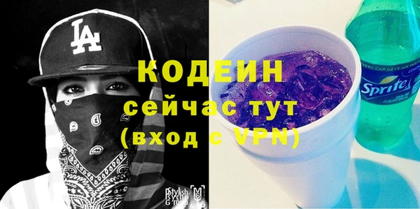 СК Туринск