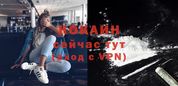 СК Туринск