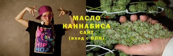 СК Туринск