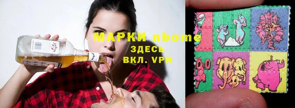 не бодяженный Горно-Алтайск